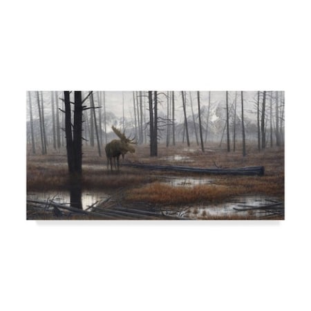 John Morrow 'When God Dreams ' Canvas Art,12x24